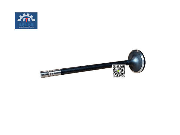 1007011A81DC   進(jìn)氣門   intake valve  FAWDE  J6  wxdew  engine  CA6DM2-42E3  engine Truck Parts